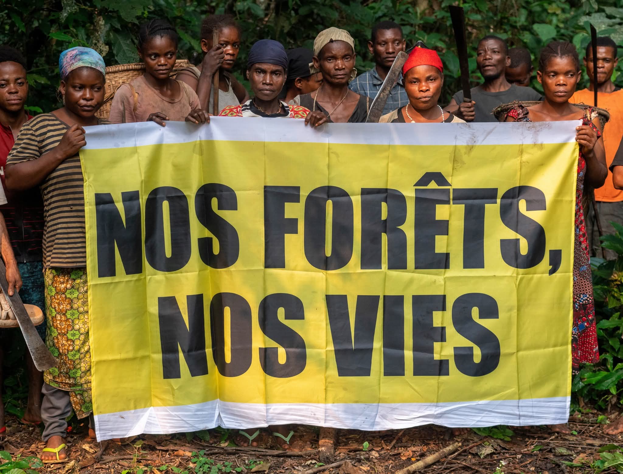 Voix oubliées de la forêt : les peuples autochtones du Congo réclament justice