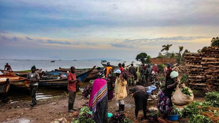 Total dévaste, l’Afrique résiste : stop à l’expansion fossile !