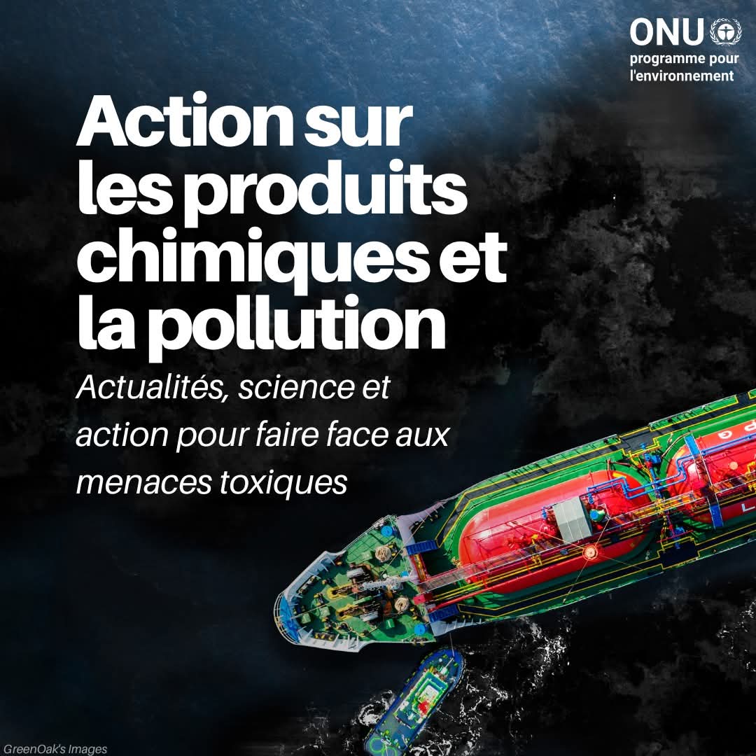 Pollution : Un fléau mondial que le PNUE s&rsquo;engage à éradiquer