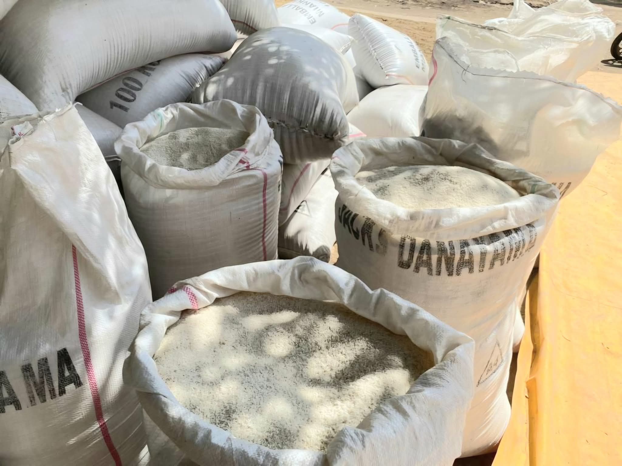 Riz : domination de l’Inde, chute des prix et incertitudes persistantes, pourquoi le marché mondial pourrait rester sous tension jusqu’au premier trimestre 2026