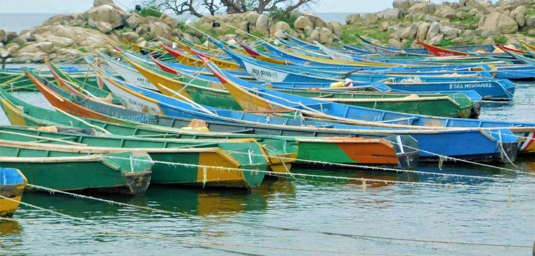 Biodiversité du Lac Albert en 2025 : un trésor naturel transfrontalier menacé, entre richesse écologique exceptionnelle et pressions humaines croissantes