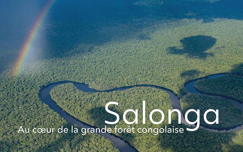 La RDC veut faire de la Salonga un géant africain de l’écotourisme : la rencontre annuelle du programme NaturAfrica ouvre la voie à une nouvelle dynamique de conservation, de biodiversité et de développement durable