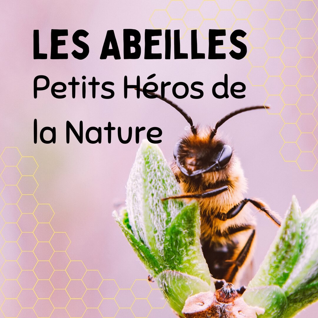 Tourisme écologique et biodiversité en danger : dans les aires protégées, les déchets plastiques menacent les abeilles et l’avenir des sites touristiques