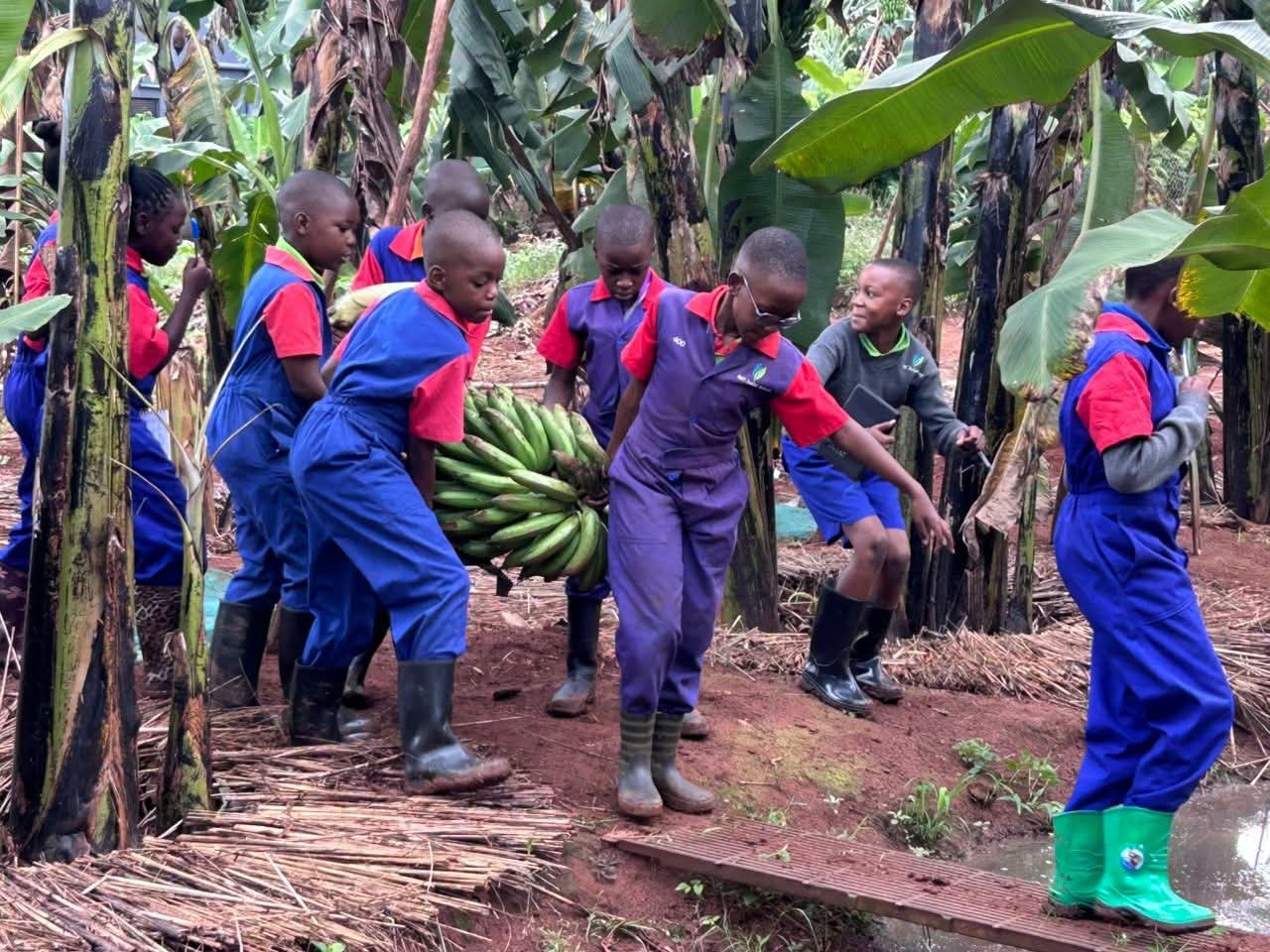 Réformer l’éducation africaine par l’agriculture scolaire : un impératif pour bâtir une jeunesse autonome, nourrie et adaptée aux réalités du continent