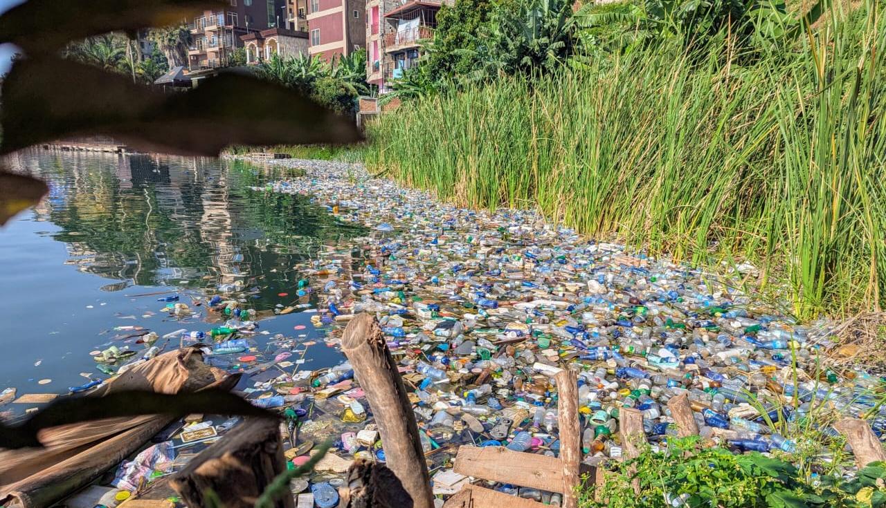 Waste Accumulation and Growing Food Dependence: Why the Islands of Lake Kivu Must Embrace the Circular Economy to Build a Regenerative and Sustainable Future