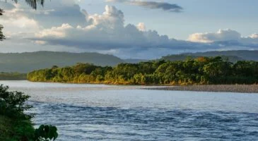 Amazonie en danger : la plus grande forêt tropicale du monde pourrait s’effondrer dès 2040 et accélérer la crise climatique mondiale