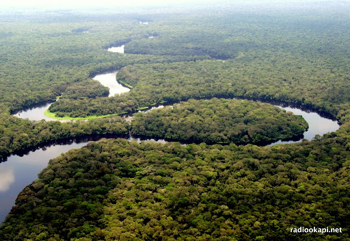 66 ans après l&rsquo;indépendance de la RDC : quand la souveraineté environnementale se heurte au débat sur un possible « colonialisme vert » dans la gestion des aires protégées