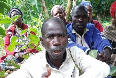 Indigenous Pygmy Peoples Confront the Resurgence of Ebola: Between Vulnerability, Inequality and Community Resilience in the Democratic Republic of the Congo