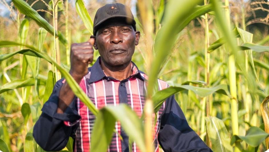 Élisabeth de Greenpeace Afrique alerte : derrière le combat du paysan kényan Samuel Wathome, une bataille décisive pour les semences, la souveraineté alimentaire et les droits des agriculteurs africains