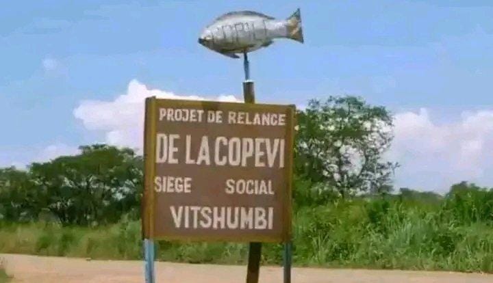 Kidnappings en série sur l&rsquo;axe Vitshumbi–17 Km : l&rsquo;insécurité s&rsquo;installe et fait grandir l&rsquo;angoisse des populations
