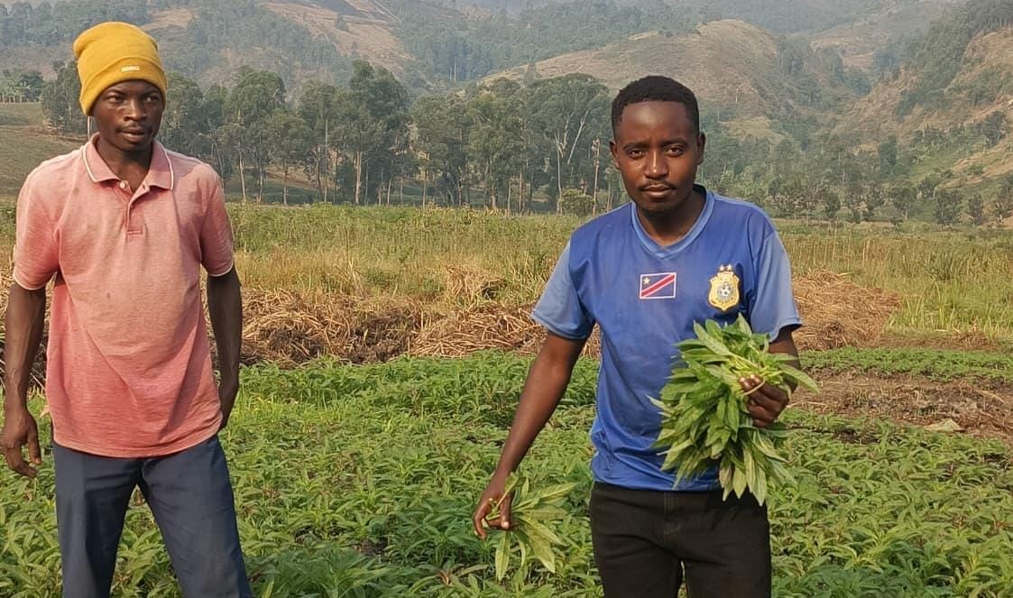 Kalehe : à Muhongoza, un jeune agronome transforme son savoir en moteur de résilience communautaire