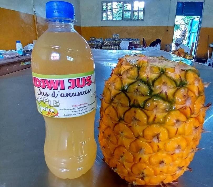 Idjwi : quand l’ananas cesse d’être un fruit pour devenir une économie