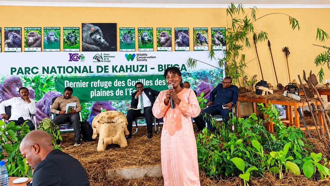 Bernadette Atosha Byemba : au PNKB, protéger le gorille pour préparer le retour des touristes